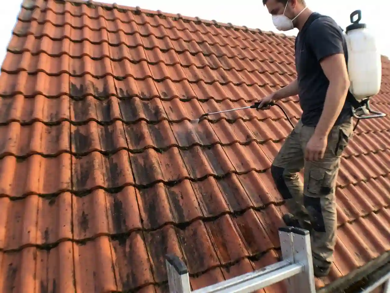 Traitement algicide contre les mousses marines a Berck